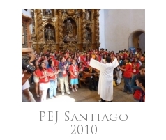 PEJ Santiago 2010